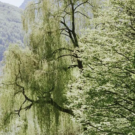 Seeresidenz Danninger - Adults Only Gmunden